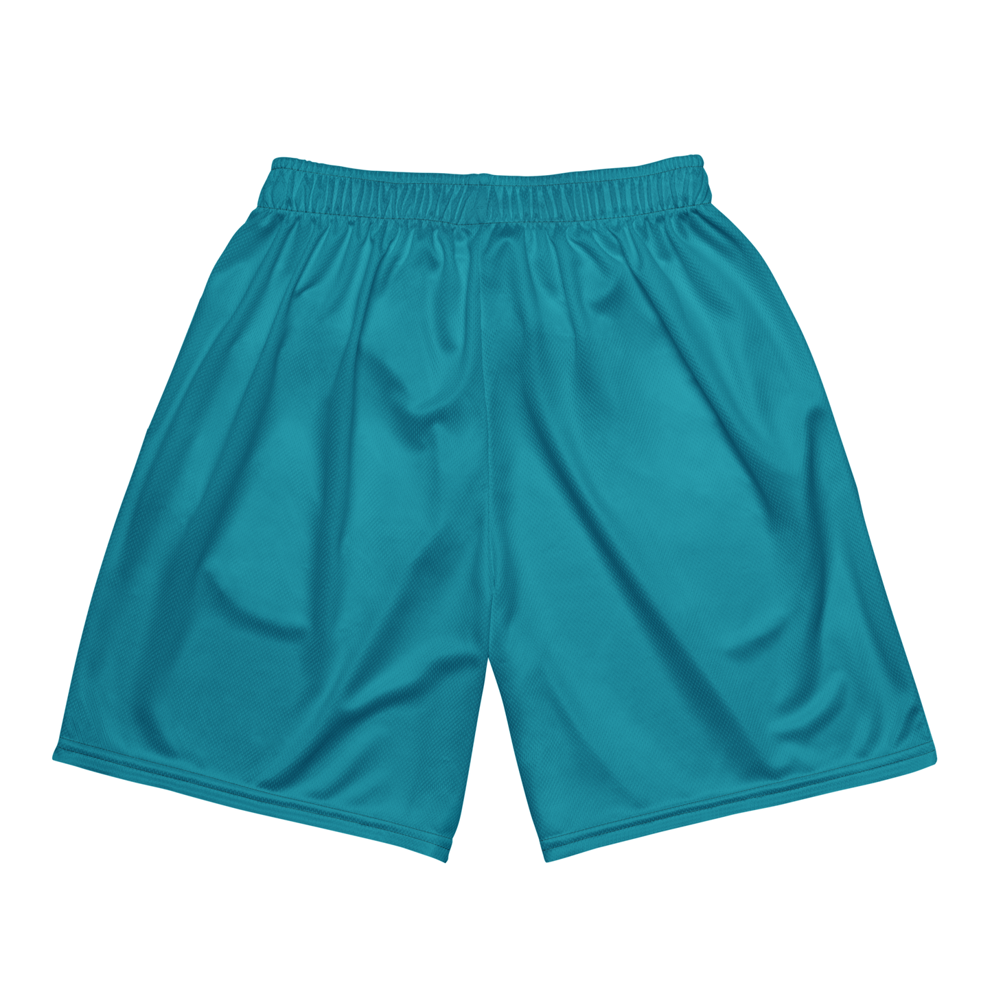 Marlinz Teal Mesh Shortz