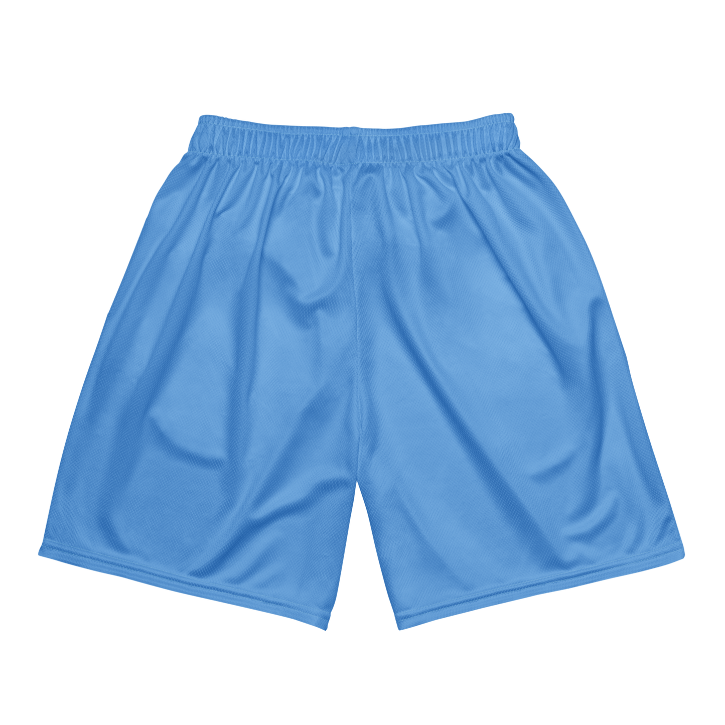 Philliez Blue Mesh Shortz