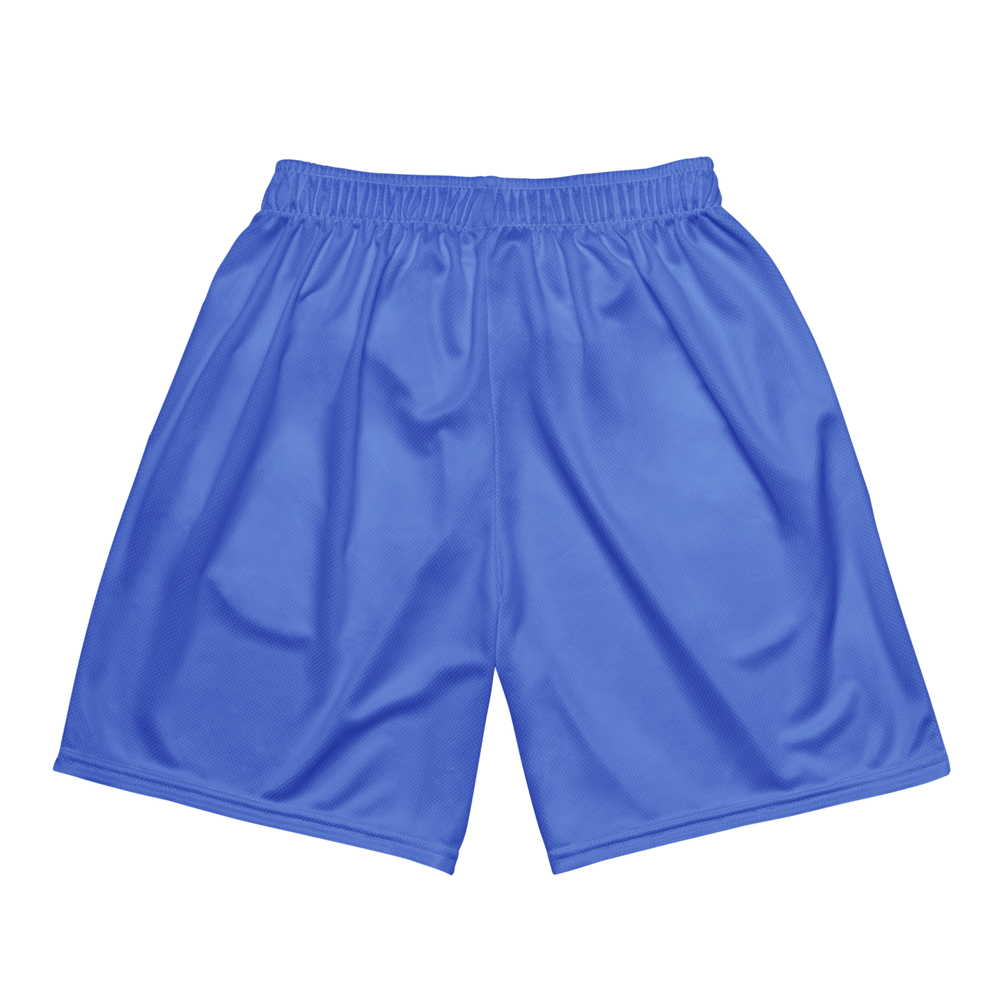 Angelz Baby Blue Mesh Shortz