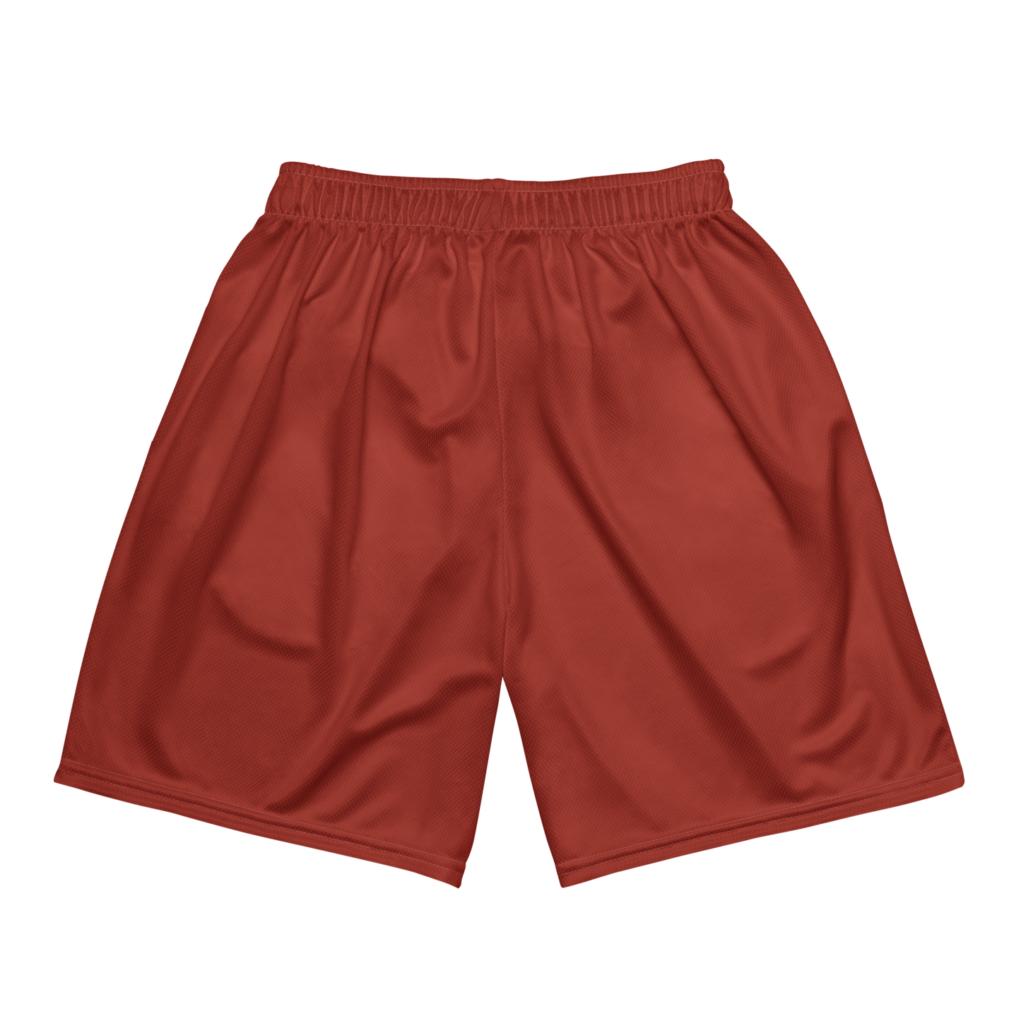 Astroz Maroon Mesh Shortz