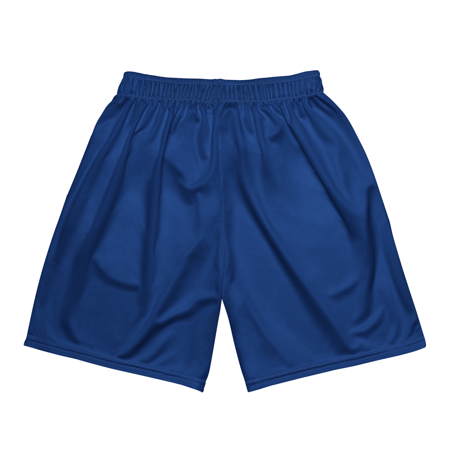 Bravez Blue Mesh Shortz