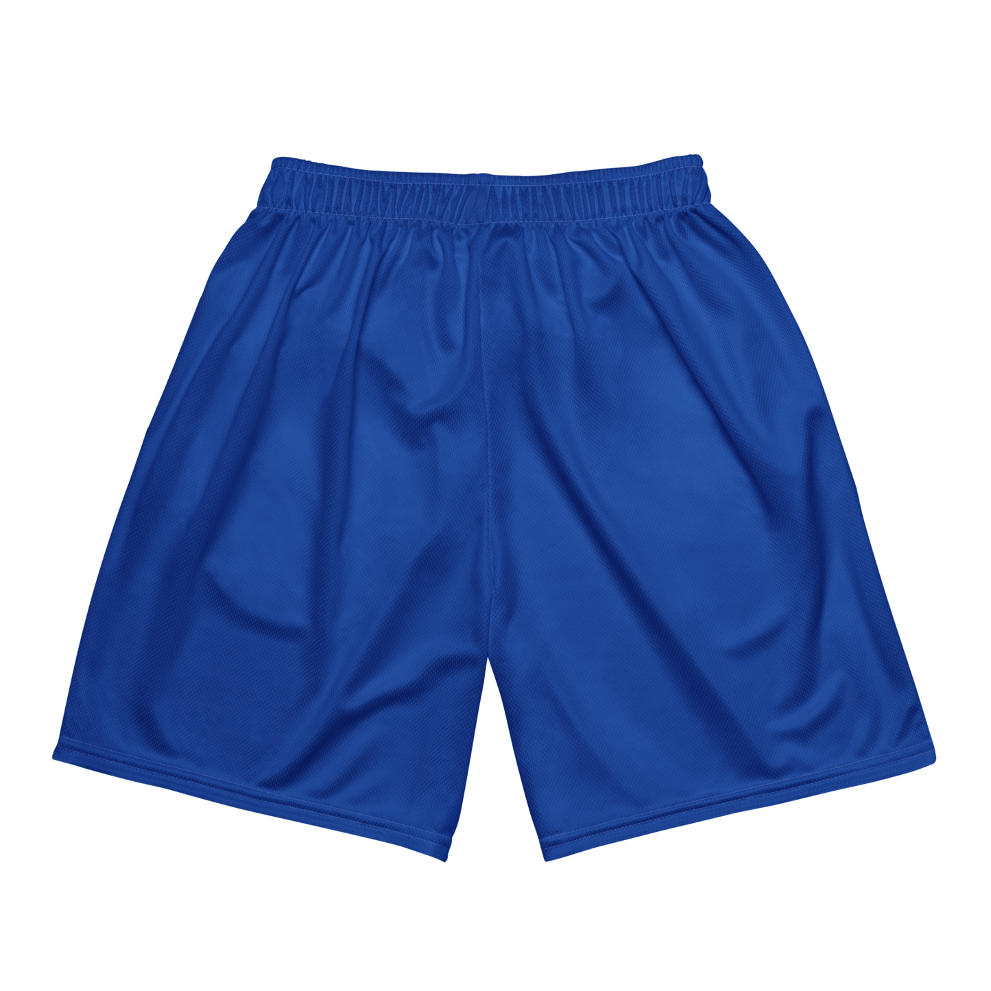 Brewerz Blue Mesh Shortz