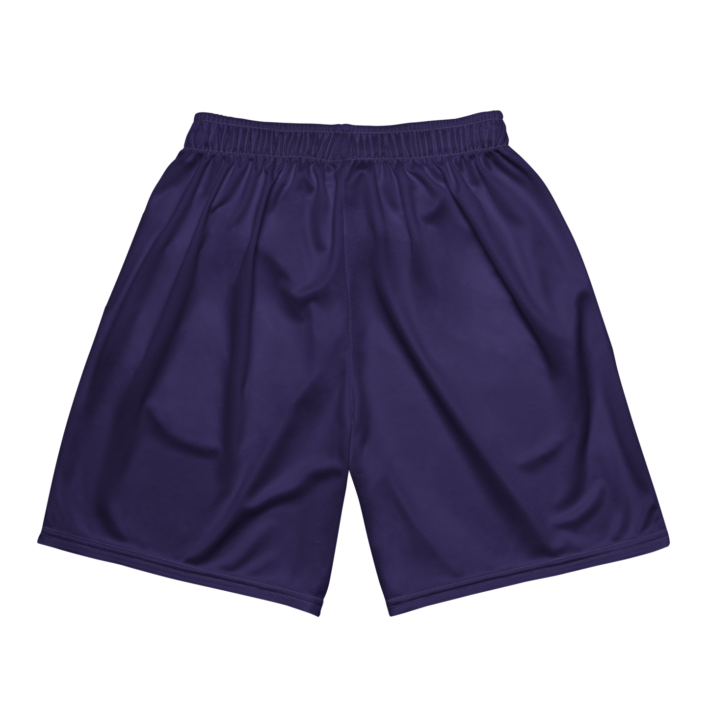 Rayz Purple Mesh Shortz