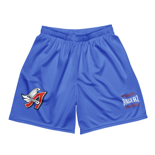 Angelz Baby Blue Mesh Shortz