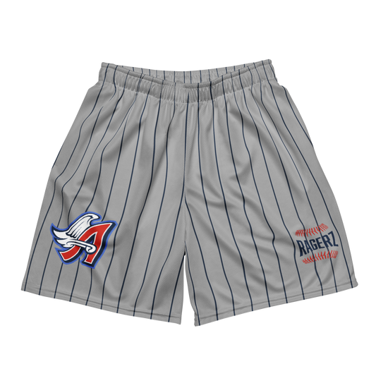 Angelz Pin Stripe(Blue) Grey Mesh Shortz