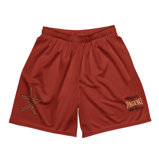 Astroz Maroon Mesh Shortz