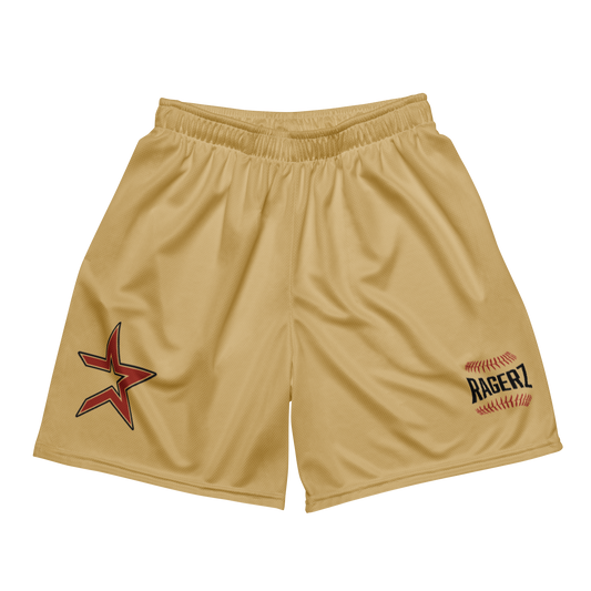 Astroz Gold Mesh Shortz